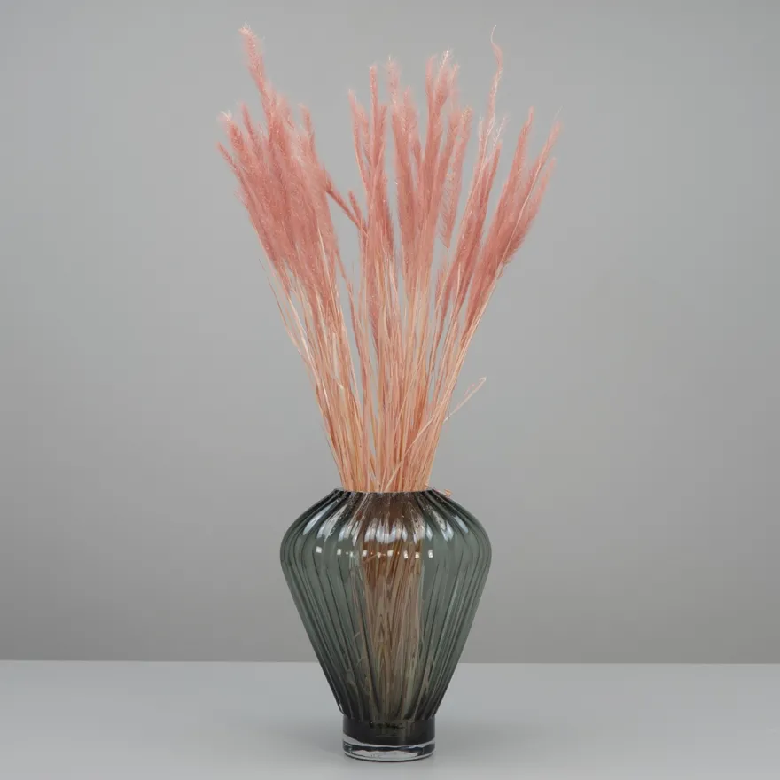 Tørrede Blomster - Tail Grass, Old Pink