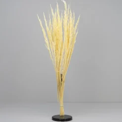 Tørrede Blomster - Vulpine, Creme