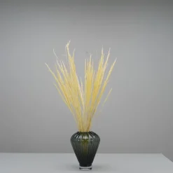 Tørrede Blomster - Vulpine, Creme