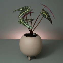 Wikholm Sonia urtepotteskjuler - Small, Mat Linen