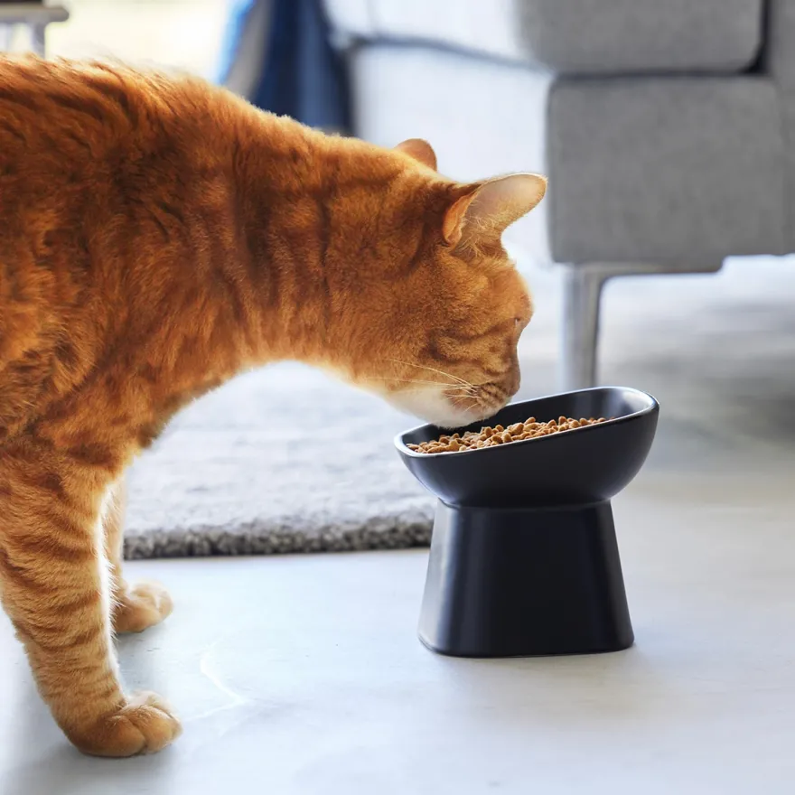 Yamazaki "Easy Eat" Keramik foderskål til katte - Sort