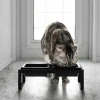 Yamazaki skåle til Foder/Vand til katte, Sort